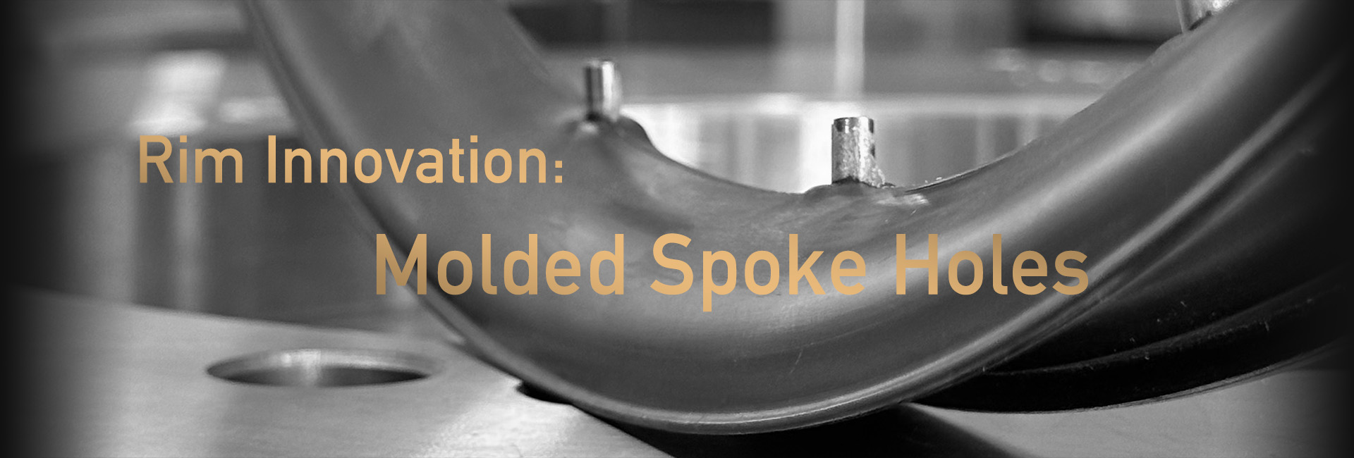 Rims by Molded Spoke Holes