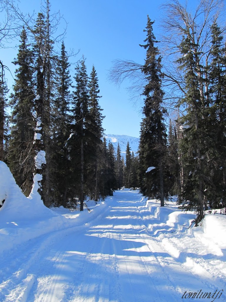 NEXTIE Fat Bike Wheels Cycling Experience