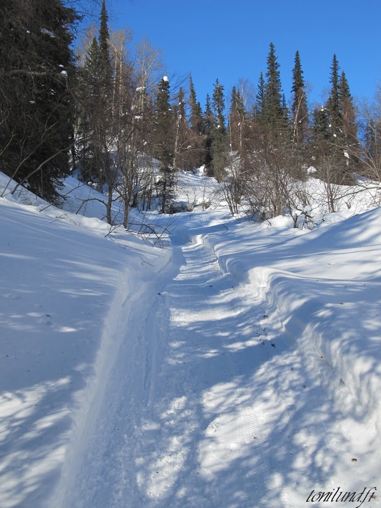 NEXTIE Fat Bike Wheels Cycling Experience